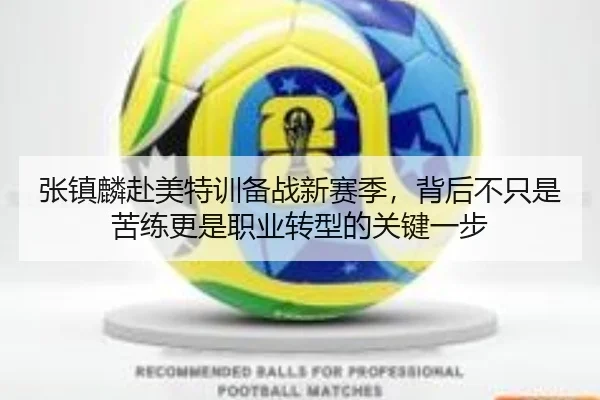 img_1780498169485_67_1_551.jpg